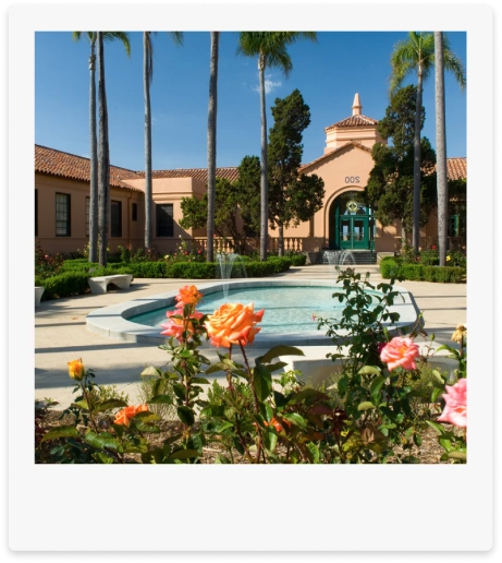 Rose Garden Gallery Polaroid 01 | Arts District Liberty Station