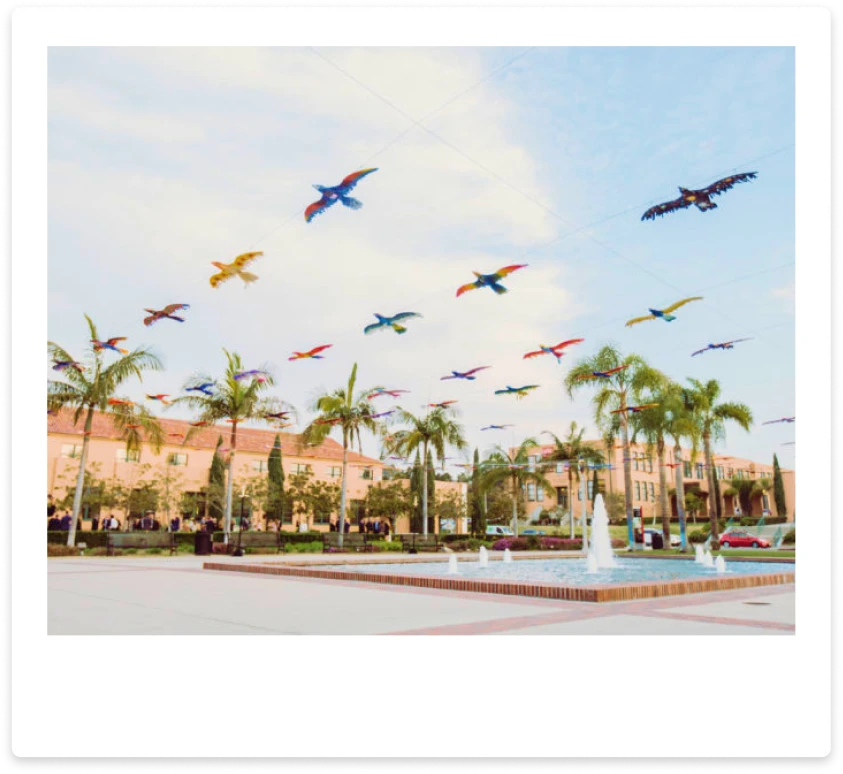 Public Art Polaroid 04 | Arts District Liberty Station